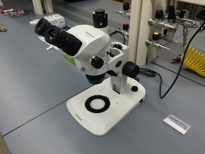 Stereomicroscope (Olympus SZ61)-