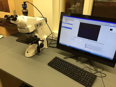 Compound Microscope (Zeiss Axio Lab)